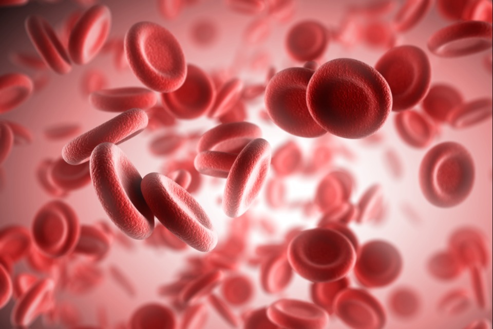 Efanesoctocog alfa approved to prevent and treat bleeding in children and adults with severe or moderate haemophilia A