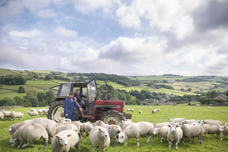 Sheep farmers in tractor surrounded by sheep