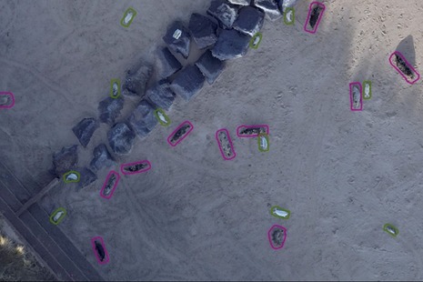 An aeiral view of seals on laying on sand captured by drone. Adult seals are outlined in pink, pups are outlined in green.