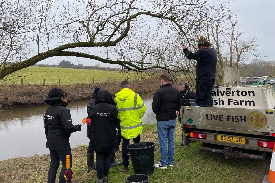 Thousands of fish released to restock Cheshire river