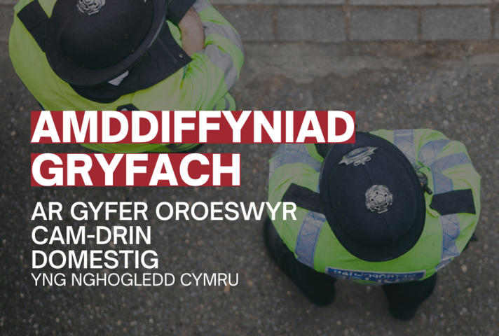 In Welsh: Stronger protections for domestic abuse survivors in North Wales