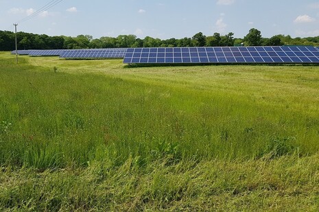 Solar site
