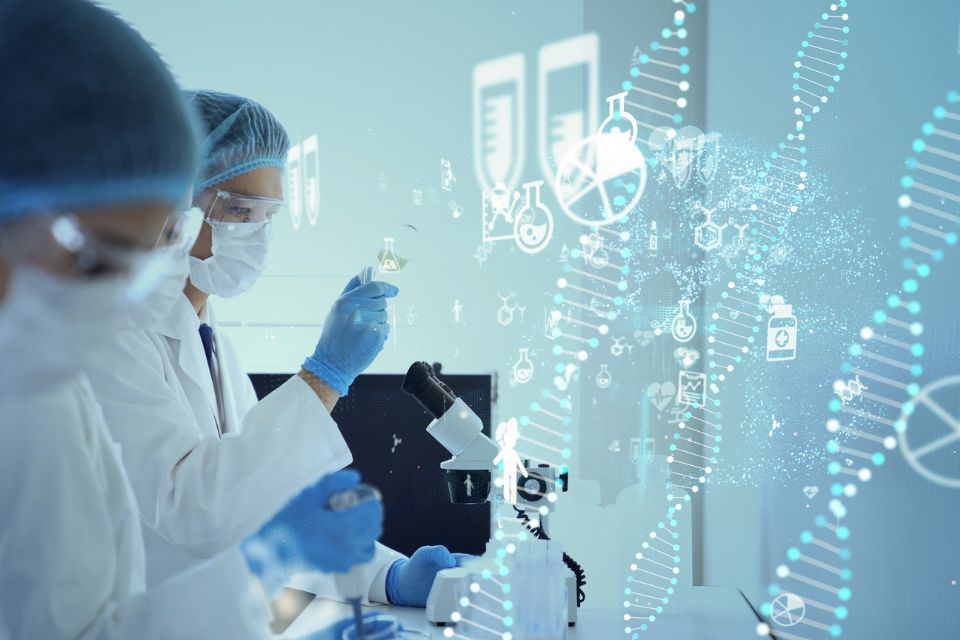 UK Science & Technology Network (STN)