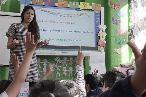 primary school teacher