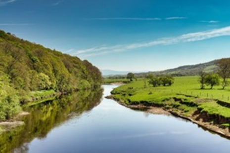 A winding river, with clear blue skies overhead. On the right bank there is a lush, green field, whereas on the left bank there is a row of densely packed trees.