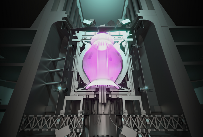 STEP Tokamak with burning plasma, front view