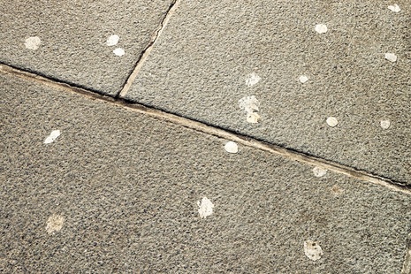 Chewing gum on the pavement