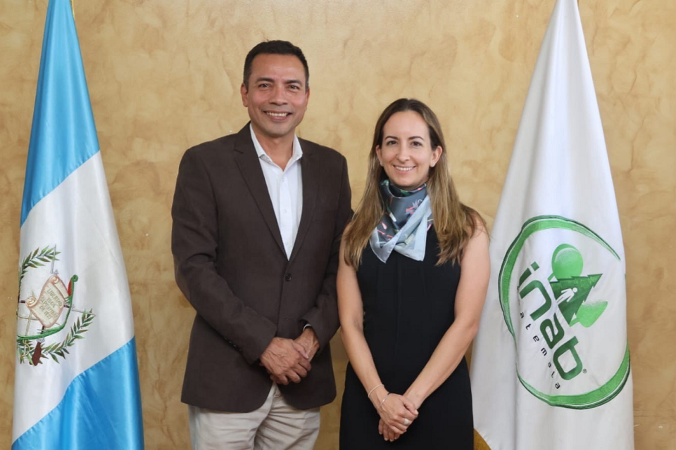United Kingdom reaffirms commitment to protect Guatemalan forests