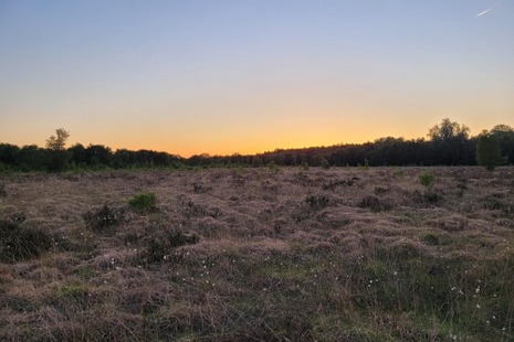 Photograph of Risley, Holcroft and Chat Moss NNR taken at dusk