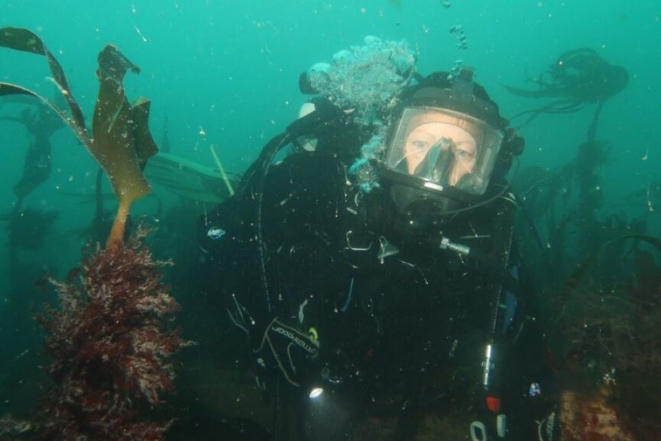 Natural England launches dive survey to monitor kelp forests