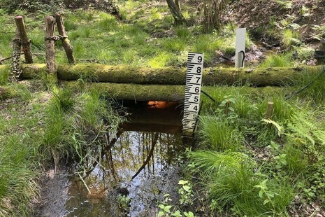 Image credit: Ben Tonkin, Environment Agency