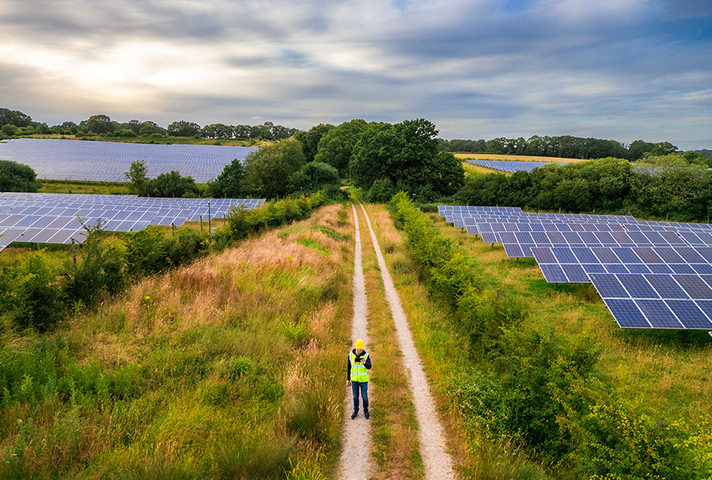 Engineer walking in a solar farm