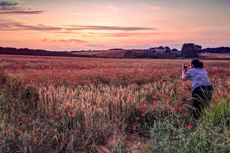 person photographing sunset in field 