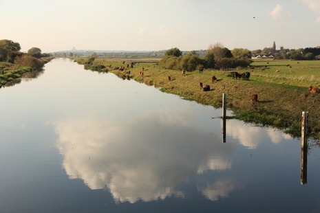 The River Witham (credit: Richard Croft)