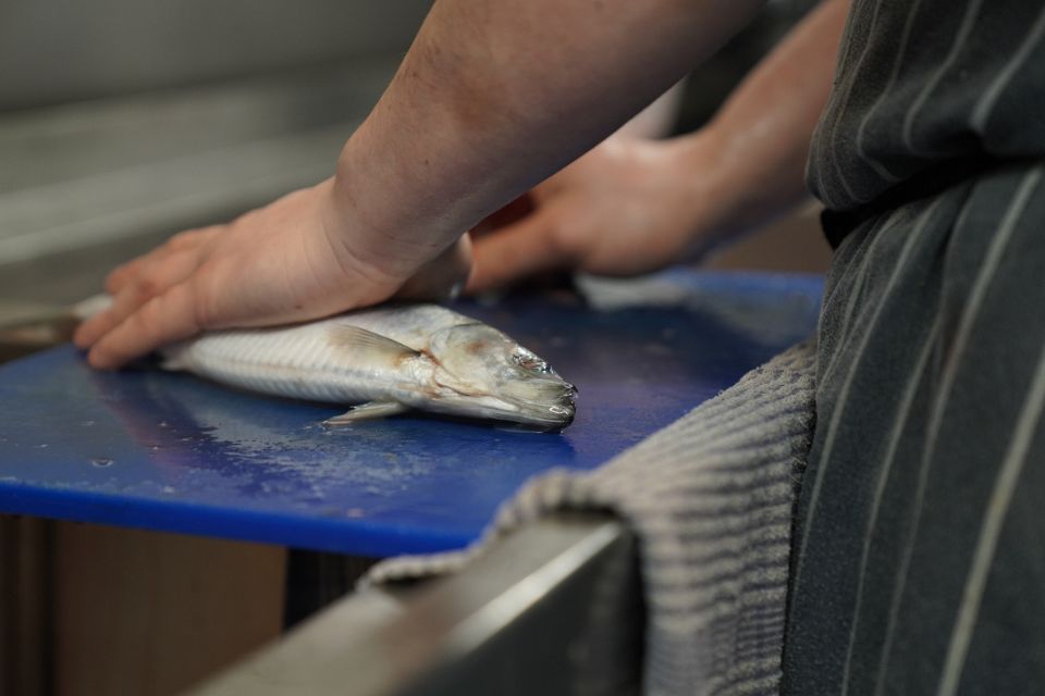 Fish, Trace, Ship – processing process changes for exports