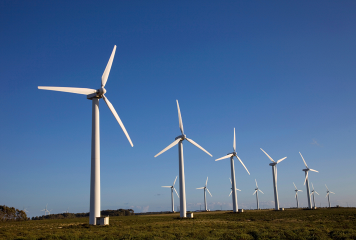 wide shot of wind turbines