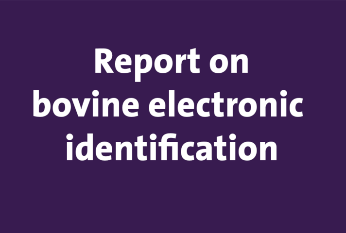 Report on bovine eletronic identification