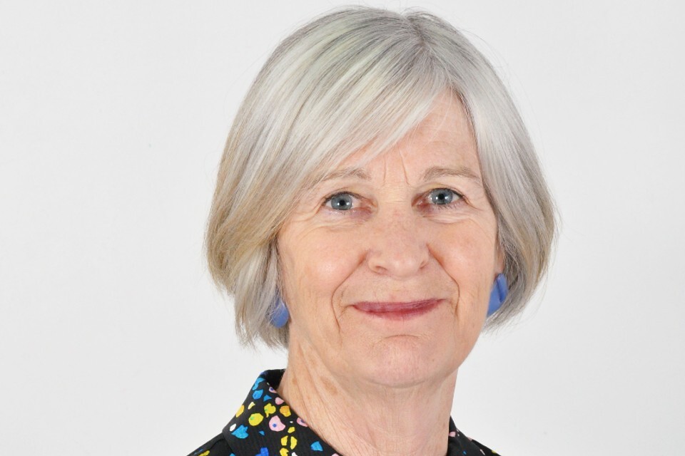 Dame Annie Hudson to lead review of Social Work England