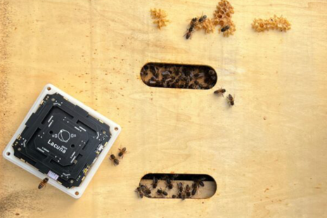 The Lacuna Space MultiNode supporting beekeeping and environmental monitoring through global satellite IoT connectivity.