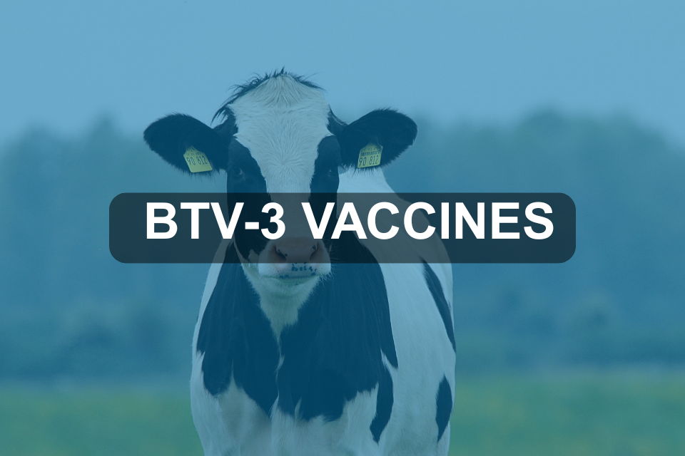 Secretary of State permits the use of 3 BTV-3 vaccines subject to licence