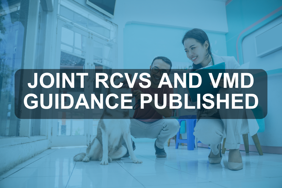 Joint RCVS and VMD guidance published