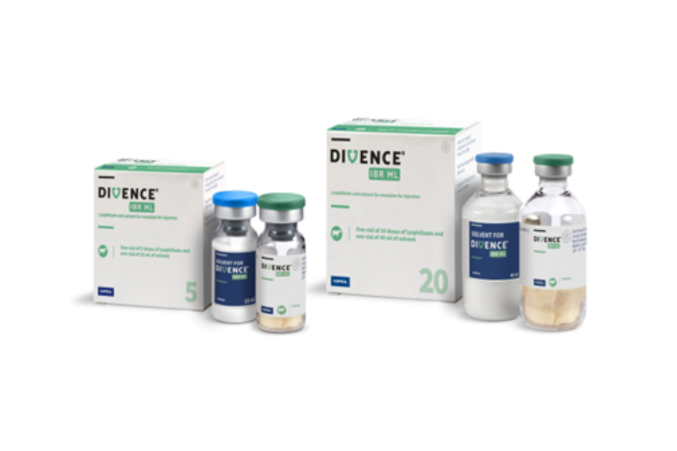 DIVENCE IBR MARKER LIVE Lyophilisate and Solvent for Suspension for Injection (Cattle)   SPC change