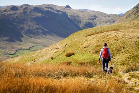 A hiker and their dog walking along Low Moss Gill