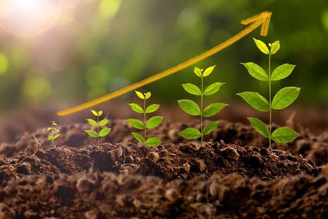 Row of plants underneath an arrow swooping up left to right. Credit: iStock Photo
