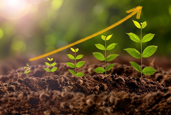 Row of plants underneath an arrow swooping up left to right. Credit: iStock Photo
