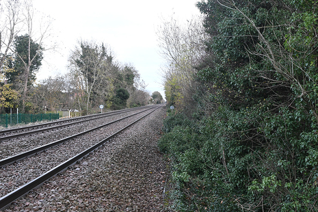 Chestnut Grove footpath crossing.