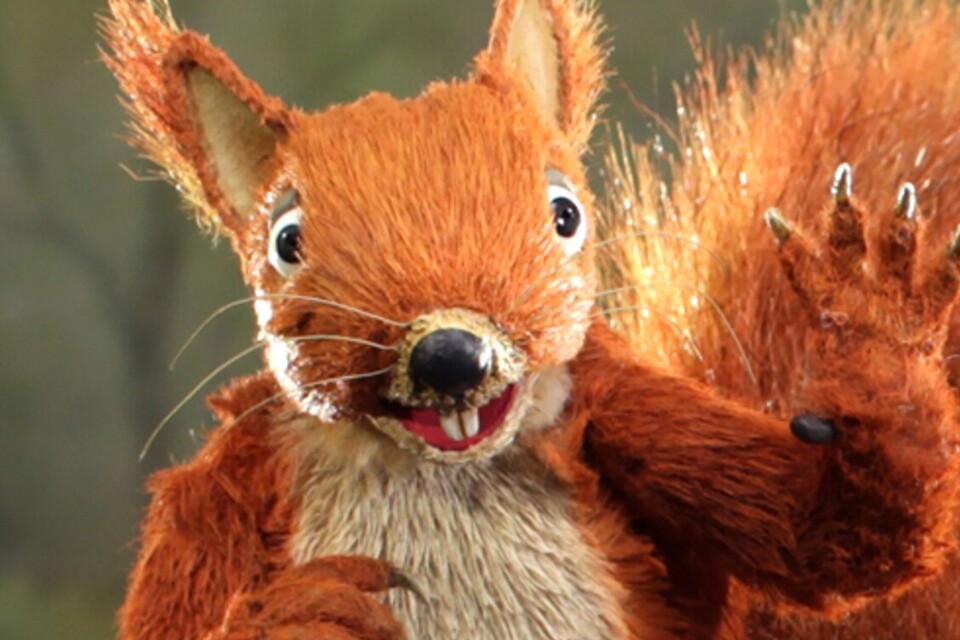 Powerful animated Cumbrian NFM film wins international prize