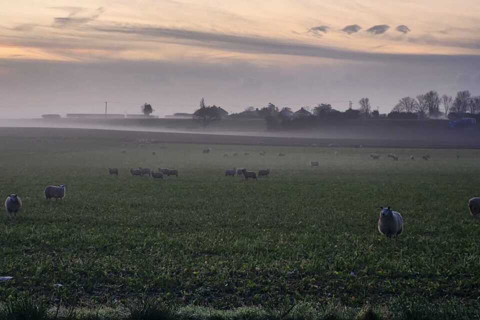 Reynolds: Backing farmers with a new era of partnership to boost farm profitability