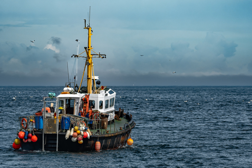 Additional rules when fishing in EU waters from 10 January 2026