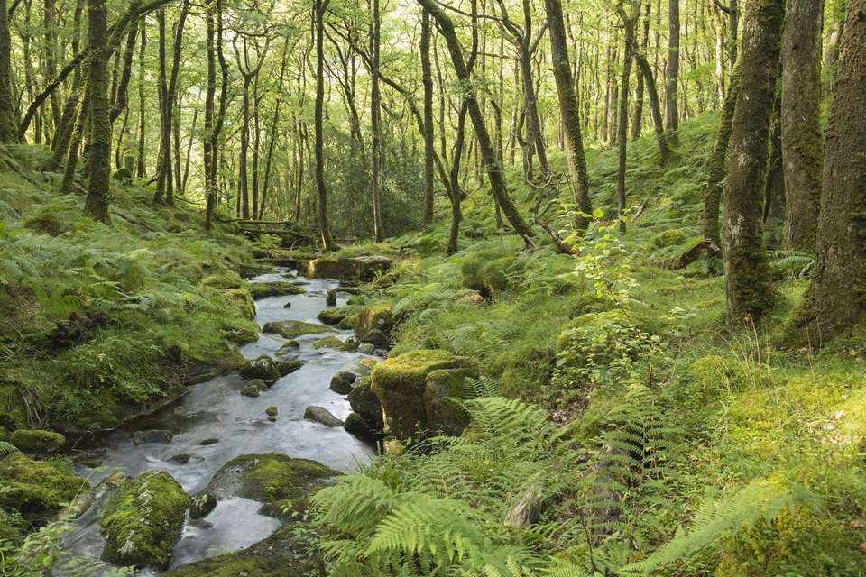 Independent Chair of the Protected Landscapes Partnership appointed