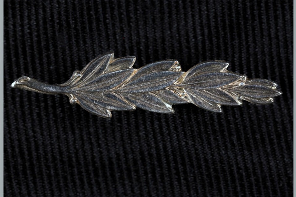 Civilian Gallantry List: January 2026