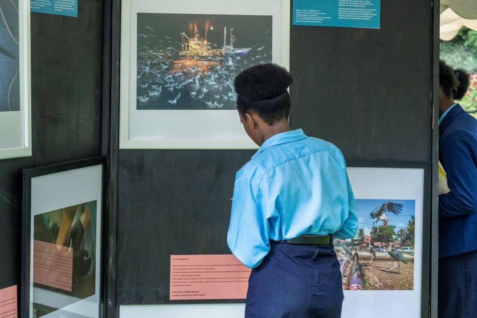 A school student interacts with the Natural History Museum photograthy exhibition hosted at the British High Commissioner's residence in Kampala