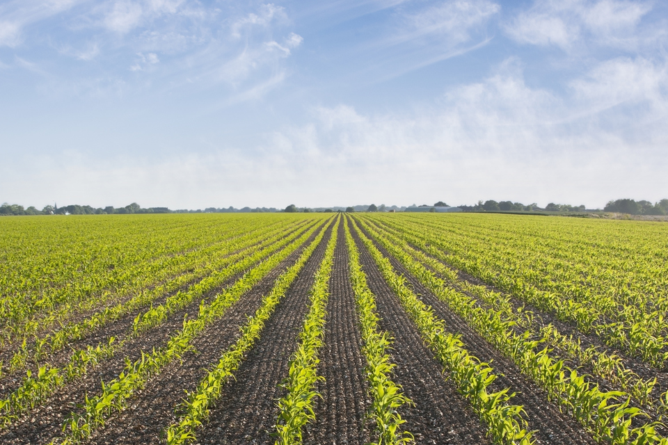Farmer productivity boost with new nutrient planning tool