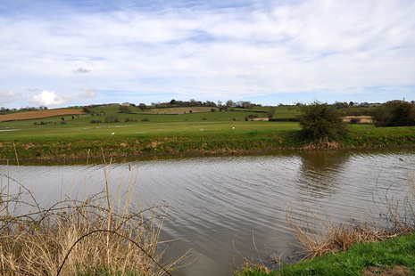 pevensey levels