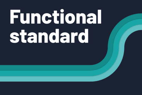 The word ‘Functional standard’ with a teal curved line graphic beneath.