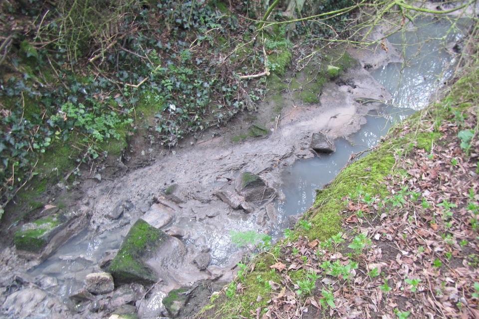Yorkshire Water fined £733k after polluting country park stream
