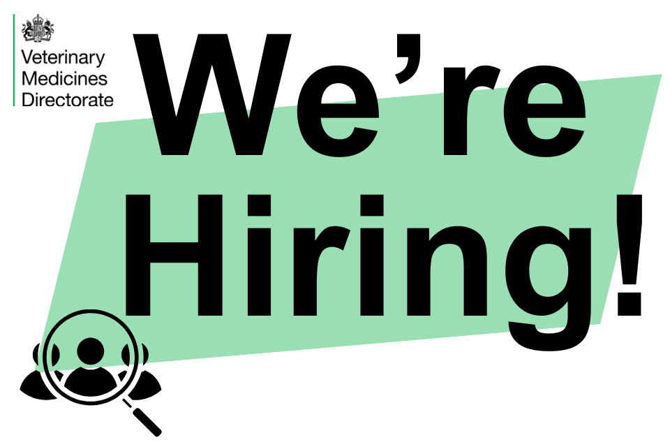 Recruitment for the Head of Enforcement Section