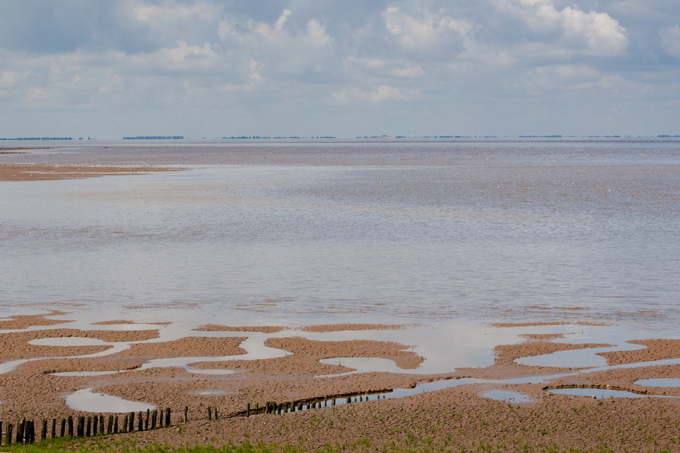 Protecting The Wash and North Norfolk's marine environment