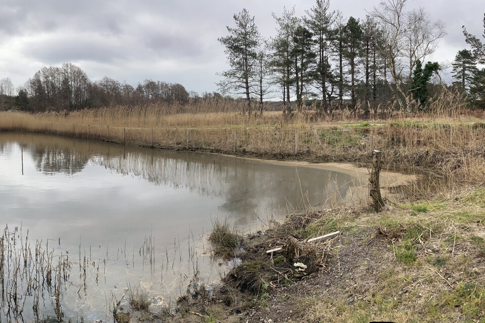 Major oil spill in Poole Harbour costs company £6m