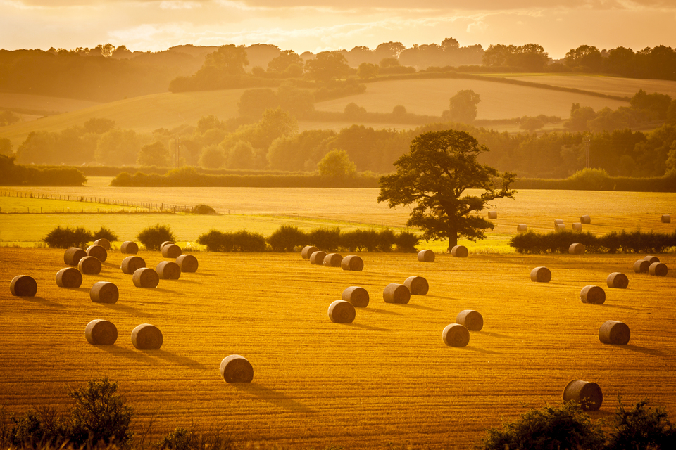 New fertiliser regulations to back British farmers and cut pollution