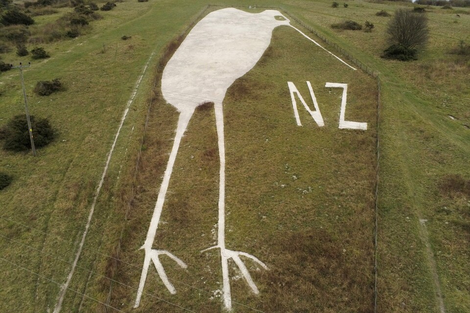 Well loved Wiltshire Kiwi gets makeover