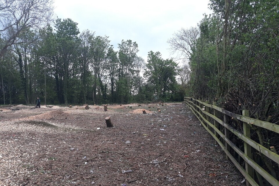 Landowner ordered to pay highest ever illegal felling fine