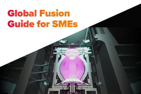 Global Fusion Guide for SMEs