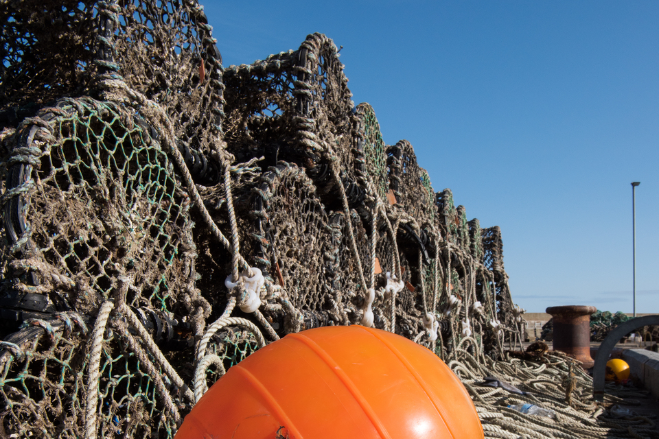 MMO and NIFCA joint enforcement operation at Port of Blyth results in successful prosecution