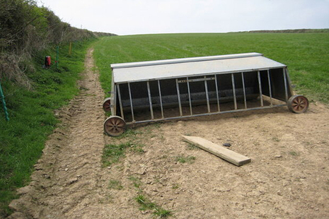 Image of a lamb creep feeder with shelter in a field