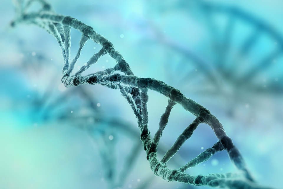 MHRA opens UK-wide consultation on redefining gene therapies
